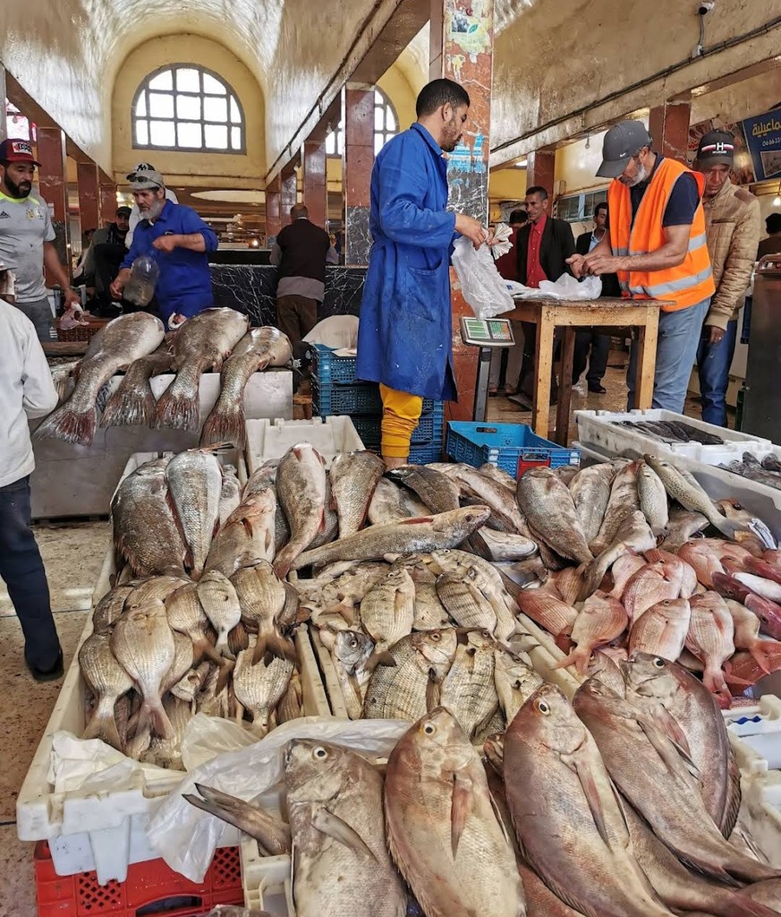 Marché municipal,Dakhla,Maroc